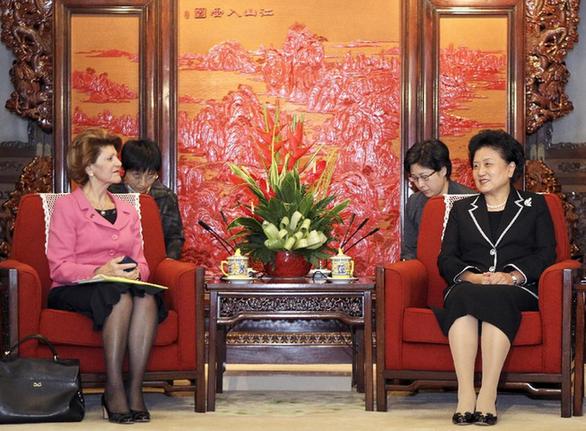 劉延?xùn)|會(huì)見歐盟委員會(huì)教育、文化、語言多樣性及青年事務(wù)委員瓦西利烏