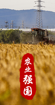 農(nóng)業(yè)強國是社會主義現(xiàn)代化強國的根基。