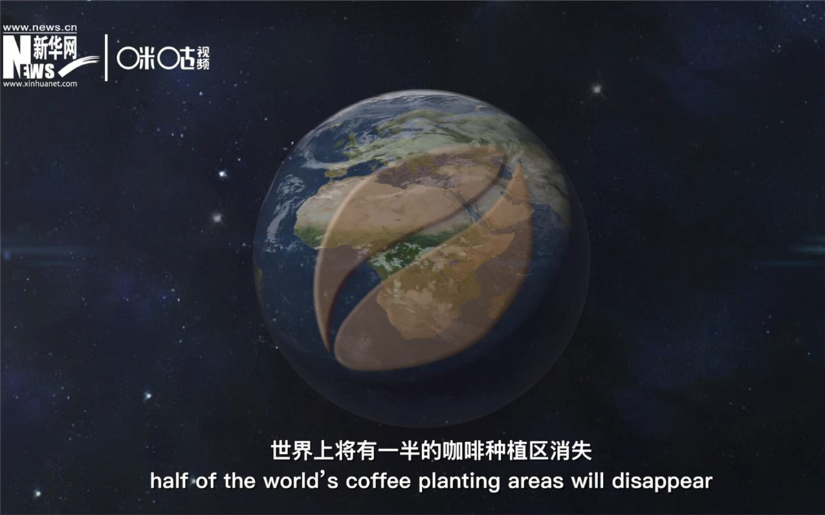 科學(xué)家預(yù)測到三十年后，世界上將有一半的咖啡種植區(qū)消失