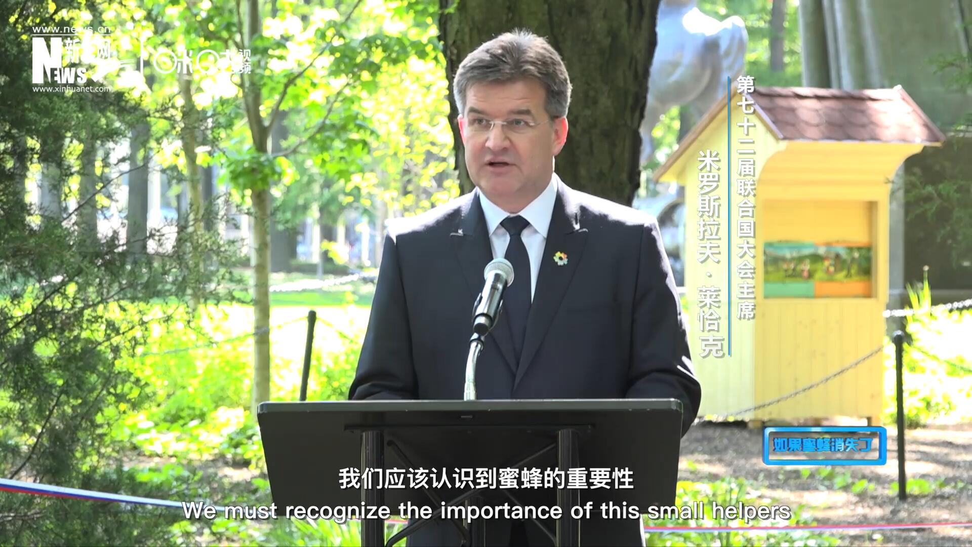 我們應該認識到蜜蜂的重要性，所以我們用“世界蜜蜂日”提高大家保護蜜蜂的意識，并且用實際行動去保護蜜蜂