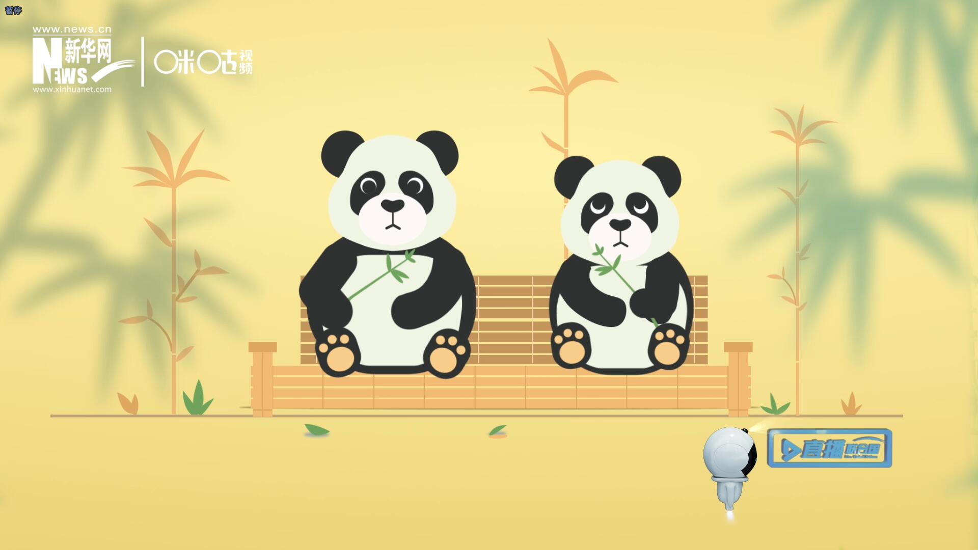 “哥哥你看，又有人來看我們了。”“有什么奇怪的，我們可是聯(lián)合國‘最萌’的大使??！”。