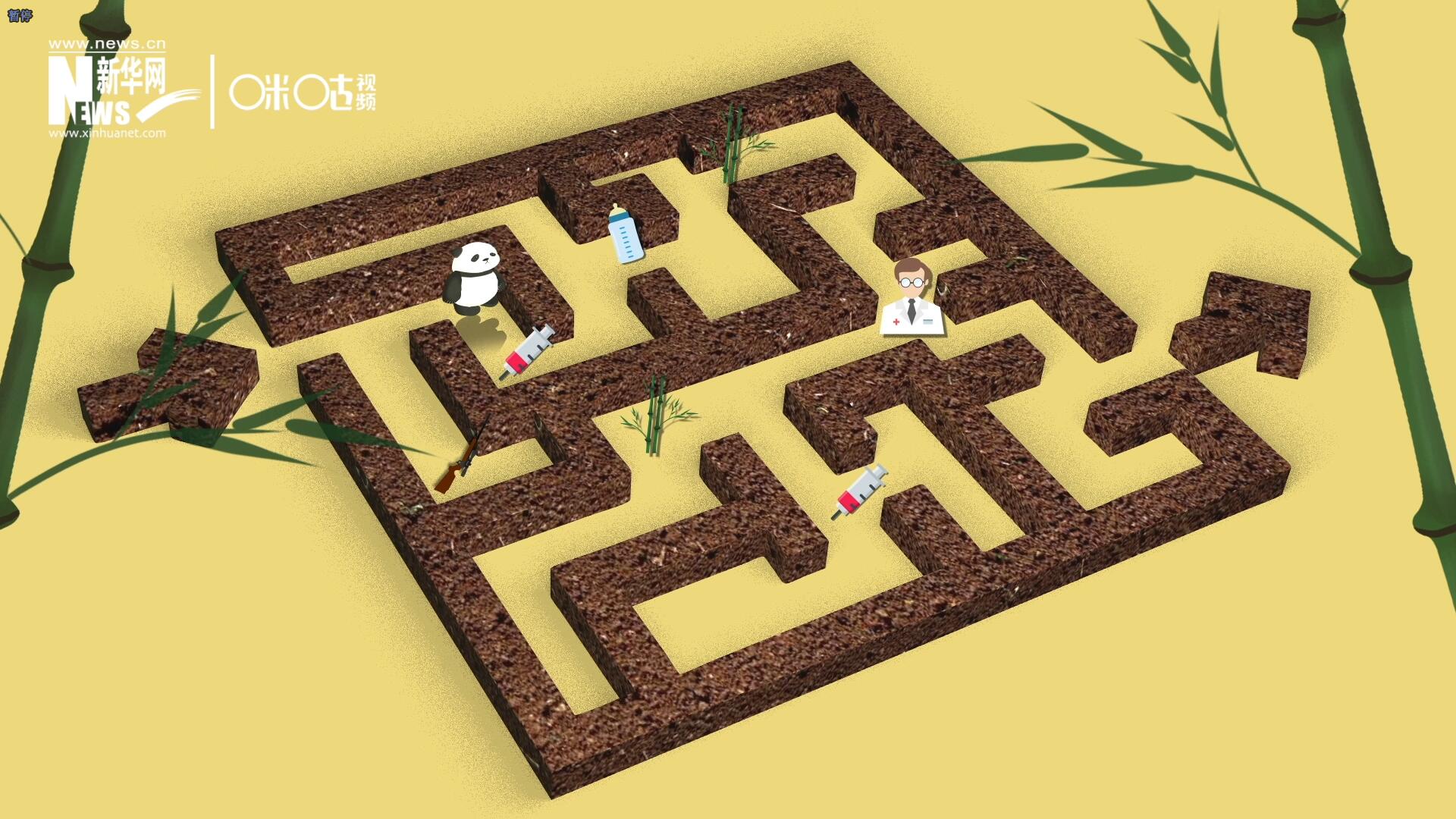 2016年，國際自然保護(hù)聯(lián)盟將大熊貓的物種瀕危等級(jí)，從“瀕危”下降到了“易危”。