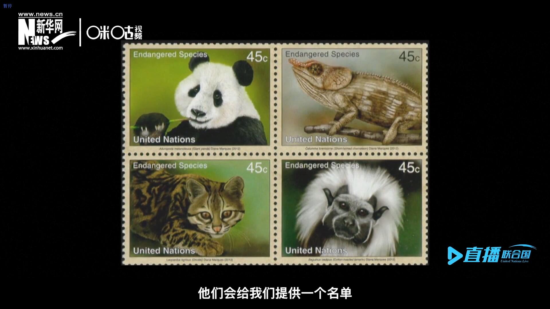CITES（瀕危野生動植物種國際貿(mào)易公約）會給聯(lián)合國郵政設(shè)計師提供一個名單，雙方共同合作在附錄中找到名單中應(yīng)該受到關(guān)注的動物。