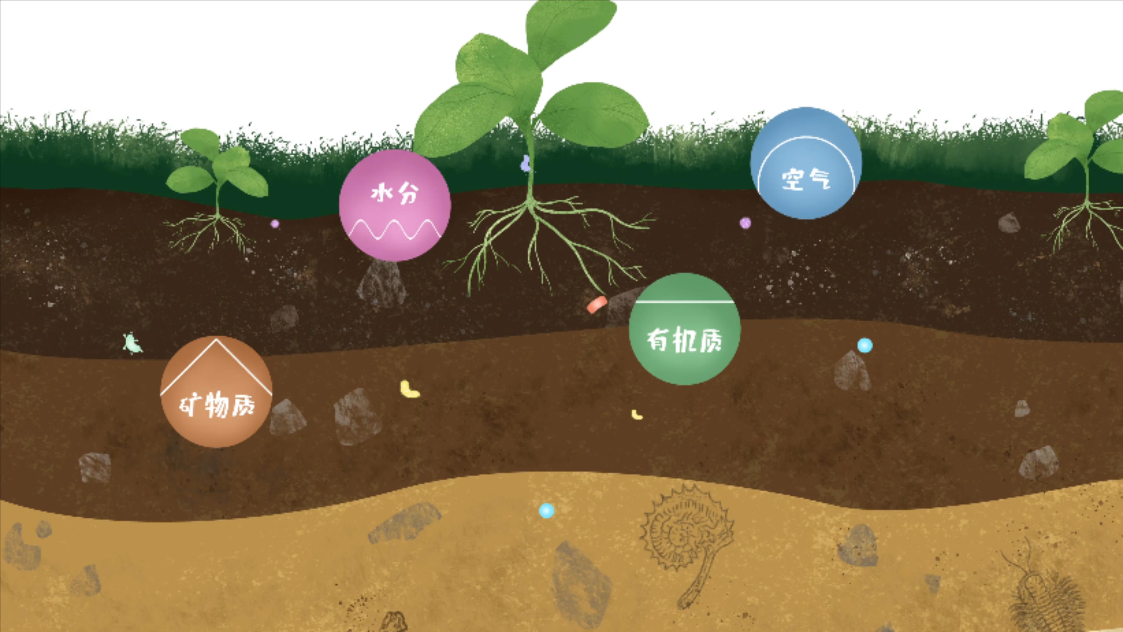 土壤由礦物質(zhì)、有機(jī)質(zhì)、水分、空氣及包括微生物在內(nèi)的生物體等組成