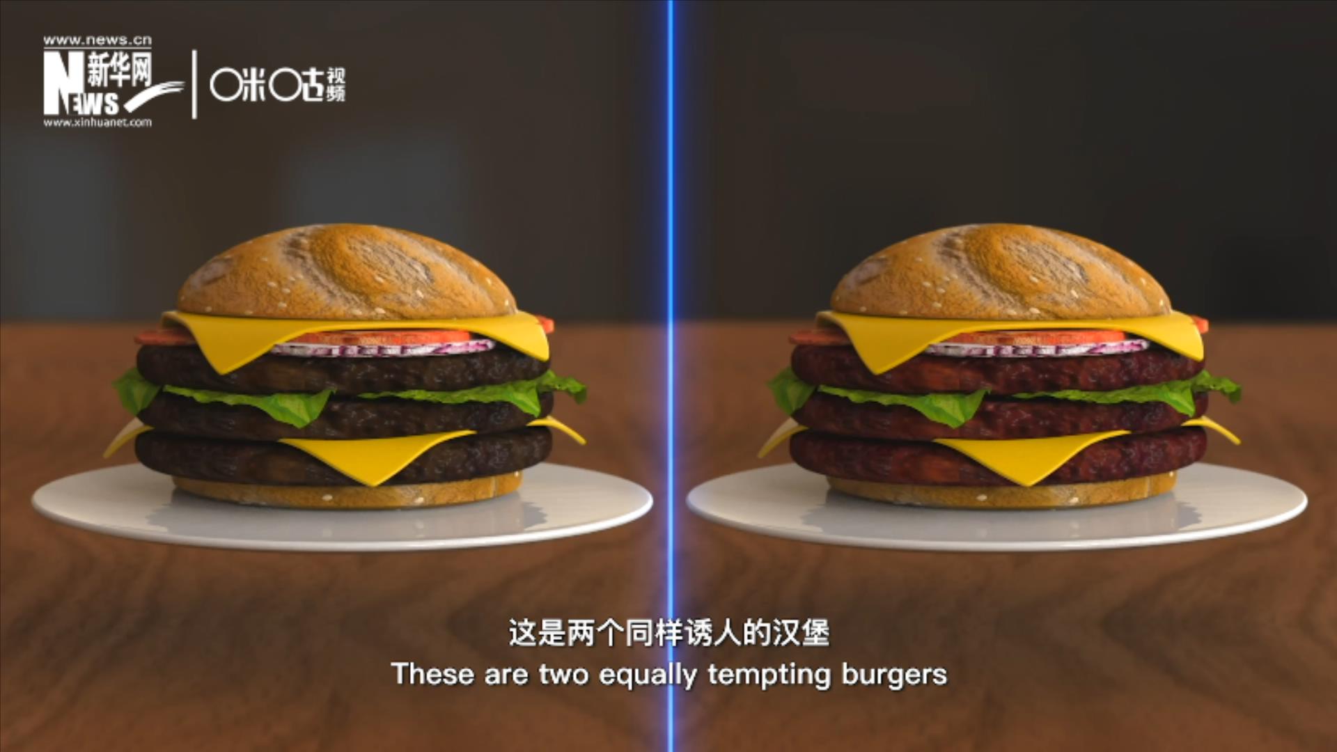 人造肉漢堡能在生產(chǎn)過(guò)程中節(jié)約水、土地、排放以及能量
