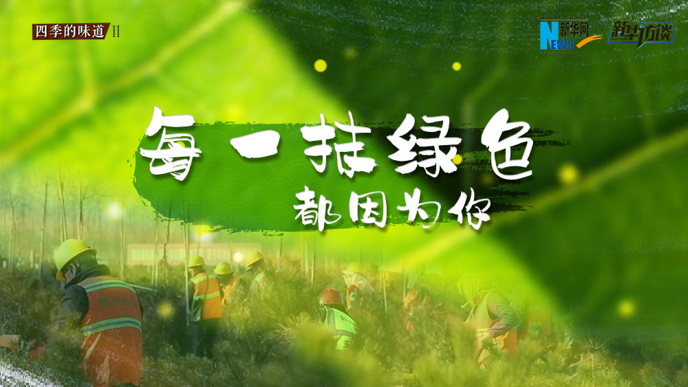 千年秀林，每一抹綠色都因?yàn)槟? /></p>
<p class=