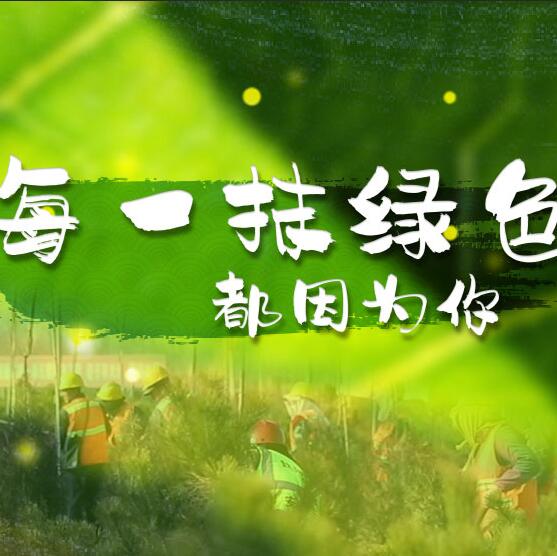 千年秀林，每一抹綠色都因?yàn)槟? /></a>       
<div   id=