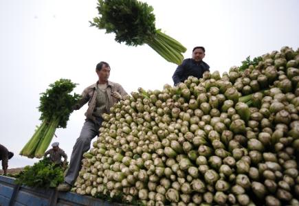 劉永富：發(fā)展產(chǎn)業(yè)脫貧仍是精準扶貧、精準脫貧主攻方向