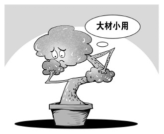 自認(rèn)“大材小用”，不如腳踏實(shí)地
