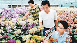 臺(tái)商眼中的改革開(kāi)放：風(fēng)景這邊獨(dú)好 要去，要去，要去！