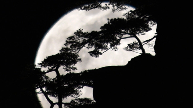 太驚艷！明月奇松 夢(mèng)幻同框