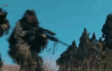 突入，擊斃！直擊武警特戰(zhàn)反劫持演練！