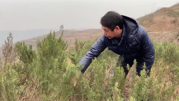 新春走基層｜脫貧后，駐村扶貧隊長在干啥？