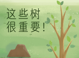 這些樹很重要！