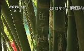 “五一”去哪？：快樂出行 文明旅游