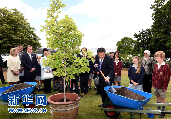 11月18日，國家主席習(xí)近平在澳大利亞塔斯馬尼亞州與朗塞斯頓市斯科奇－歐克伯恩小學(xué)的小學(xué)生共同植樹。新華社記者 饒愛民 攝