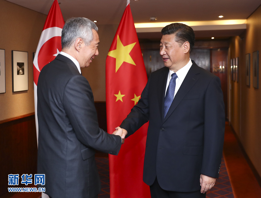 7月6日，國(guó)家主席習(xí)近平在漢堡會(huì)見(jiàn)新加坡總理李顯龍。 新華社記者謝環(huán)馳 攝